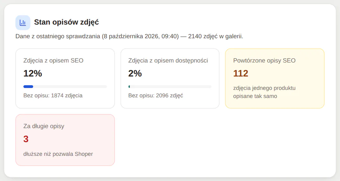 Stan opisów przed zapisem: 12% zdjęć z opisem SEO, 2% z opisem dostępności, 112 powtórzonych opisów